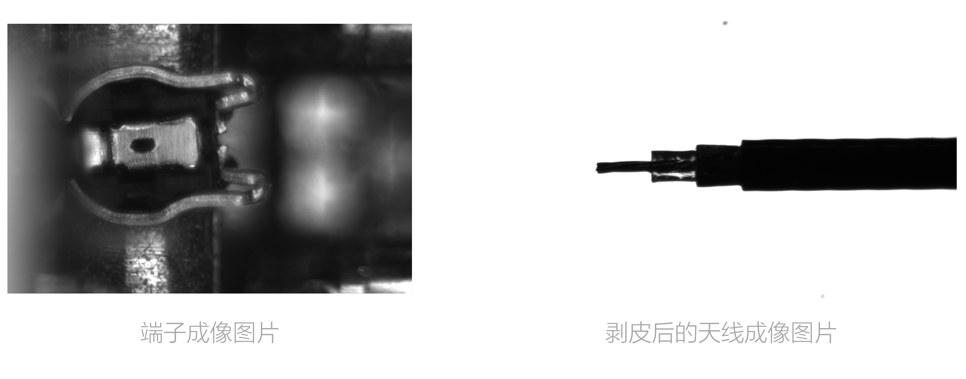 利来w66(中国区)最老的品牌官网入口